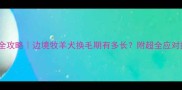 边牧换毛全攻略边境牧羊犬换毛期有多长附超全应对指南