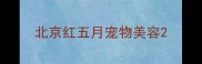 北京红五月宠物美容