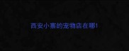 西安小寨的宠物店在哪