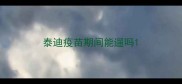 泰迪疫苗期间能遛吗