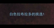 白色拉布拉多的挑选