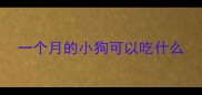 一个月的小狗可以吃什么