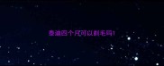 泰迪四个月可以剃毛吗