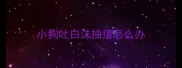 小狗吐白沫抽搐怎么办