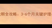 边境牧羊犬尴尬期全攻略3-6个月关键护理与行为矫正指南