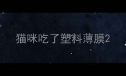 猫咪吃了塑料薄膜