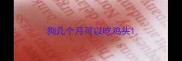 狗几个月可以吃鸡头