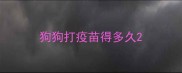 狗狗打疫苗得多久