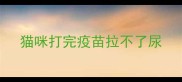 猫咪打完疫苗拉不了尿