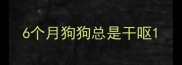 6个月狗狗总是干呕