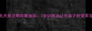 金毛犬叛逆期自救指南3步训练法让毛孩子秒变乖宝宝