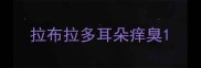 拉布拉多耳朵痒臭