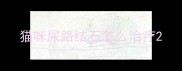 猫咪尿路结石怎么治疗