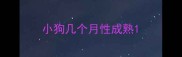 小狗几个月性成熟