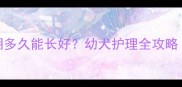 金毛换毛期多久能长好幼犬护理全攻略附视频