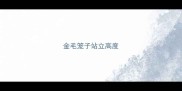 金毛笼子站立高度