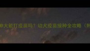 萨摩耶睾丸肿大能打疫苗吗幼犬疫苗接种全攻略附护理指南