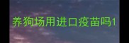 养狗场用进口疫苗吗