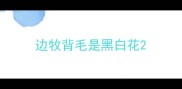 边牧背毛是黑白花