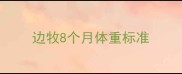 边牧8个月体重标准