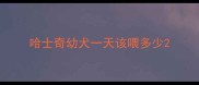 哈士奇幼犬一天该喂多少