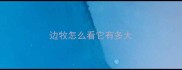 边牧怎么看它有多大