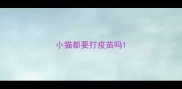 小猫都要打疫苗吗