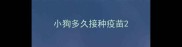 小狗多久接种疫苗