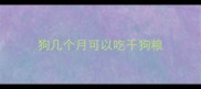 狗几个月可以吃干狗粮
