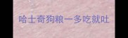 哈士奇狗粮一多吃就吐