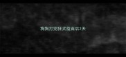 狗狗打完狂犬疫苗后2天