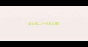 哈士奇二个月怎么喂