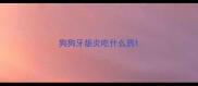 狗狗牙龈炎吃什么药