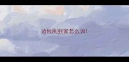 边牧刚到家怎么训