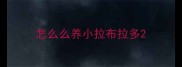 怎么么养小拉布拉多