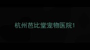 杭州芭比堂宠物医院