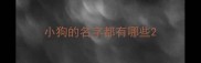 小狗的名字都有哪些
