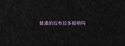 普通的拉布拉多聪明吗