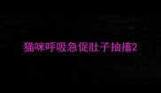 猫咪呼吸急促肚子抽搐