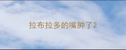 拉布拉多的嘴肿了