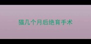 猫几个月后绝育手术