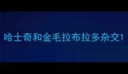 哈士奇和金毛拉布拉多杂交