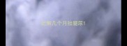 比熊几个月抬腿尿