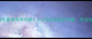 边牧幼犬最佳领养年龄3-6月龄选购全攻略养边牧必看