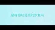 猫咪神经受损能恢复吗