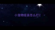 小宠物疫苗怎么打