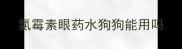 氯霉素眼药水狗狗能用吗