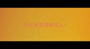 金毛老是跟着主人