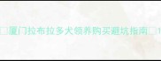 厦门拉布拉多犬领养购买避坑指南