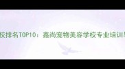宠物美容学校排名TOP10鑫尚宠物美容学校专业培训与就业指南